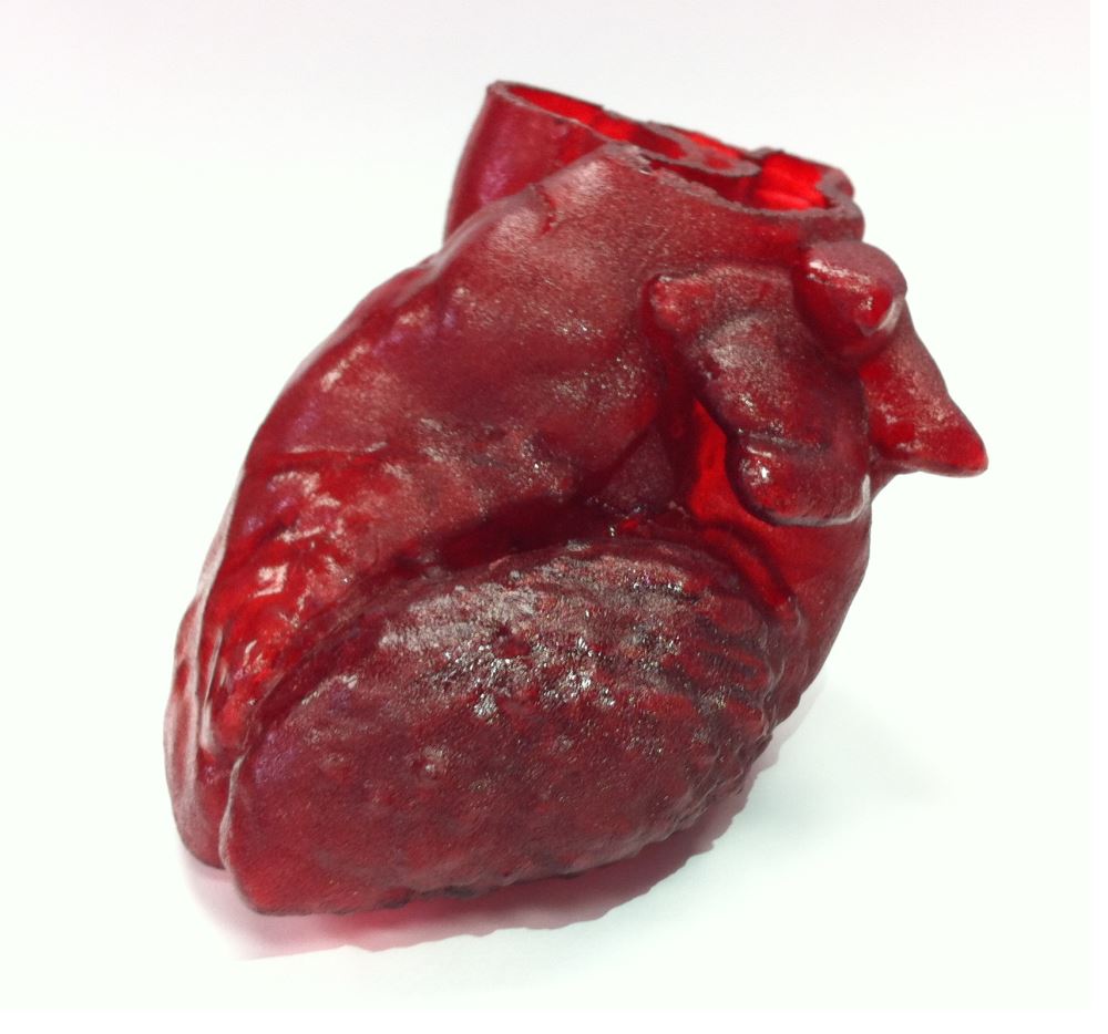 Πρόκειται για μοντέλο εκτύπωσης που μπορεί να χρησιμοποιηθεί από ερευνητές και φοιτητές ιατρικής για ακόμη καλύτερη παρατήρηση της ανθρώπινης καρδιάς.