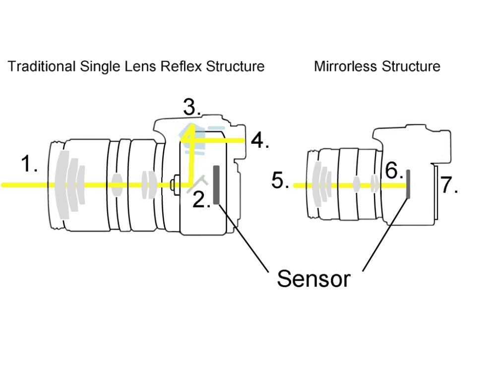 Σε μια εικόνα φαίνεται όλη διαφορά μεταξύ DSLR και Mirrorless. Από τη διαφορά στην πορεία του φωτός προκύπτουν όλες οι υπόλοιπες. 