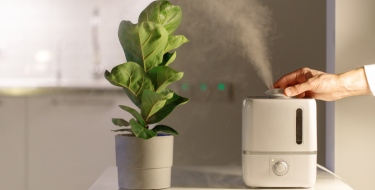 Έξυπνες λύσεις για υγιεινή ατμόσφαιρα στο σπίτι