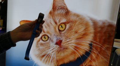 CES 2018: GPS κολάρο για γάτες από την Tractive